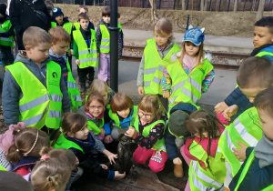 Dzieci poznają Koci Szlak