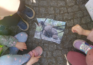Dzieci układają zaginionego kota ze znalezionych puzzli