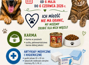 Plakat z informacjami o akcji