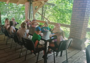 Wycieczka do Krainy Dzikiej Kaczki