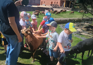Wycieczka do Krainy Dzikiej Kaczki