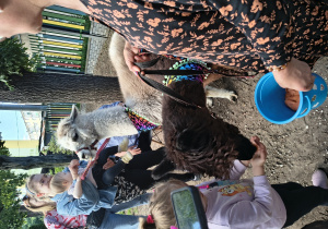 Piknik Rodzinny 2026