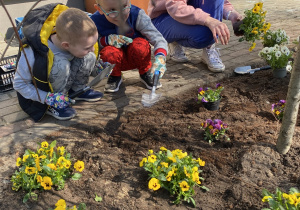 Mama Wandy z dwoma chłopcami sadzi kwiatki